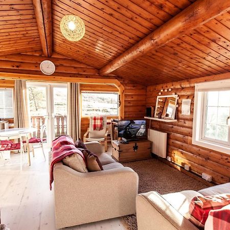 Welsh Retreat 2 Bedroom Log Cabin - Seren Property Trawsfynydd Εξωτερικό φωτογραφία