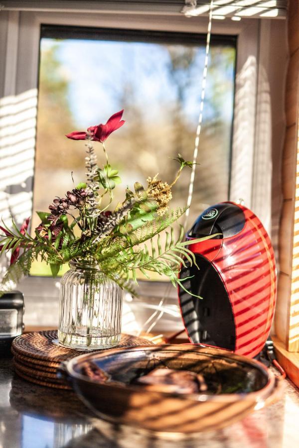 Welsh Retreat 2 Bedroom Log Cabin - Seren Property Trawsfynydd Εξωτερικό φωτογραφία