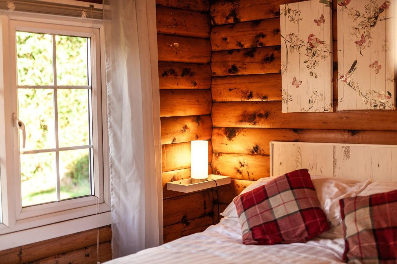 Welsh Retreat 2 Bedroom Log Cabin - Seren Property Trawsfynydd Εξωτερικό φωτογραφία